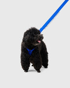 HOWLY UNIVERSAL HARNESS