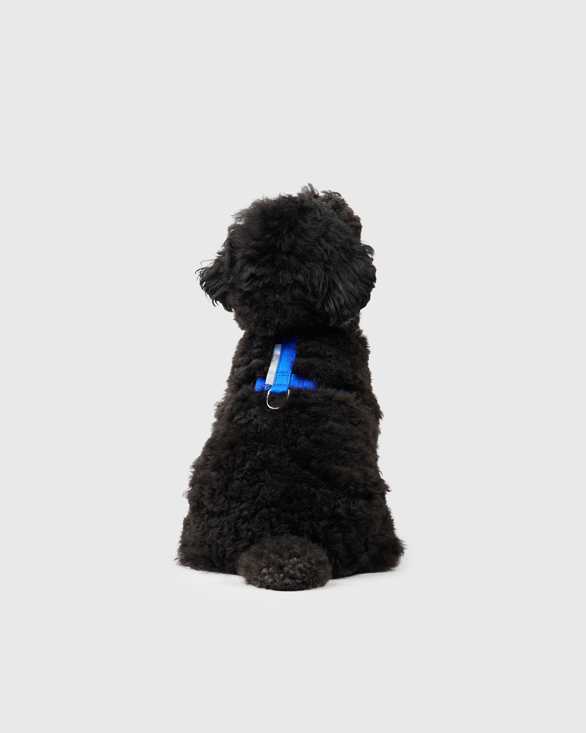HOWLY UNIVERSAL HARNESS