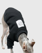 HOWLY "Sleepy dog" SWEAT SHIRT for DOG