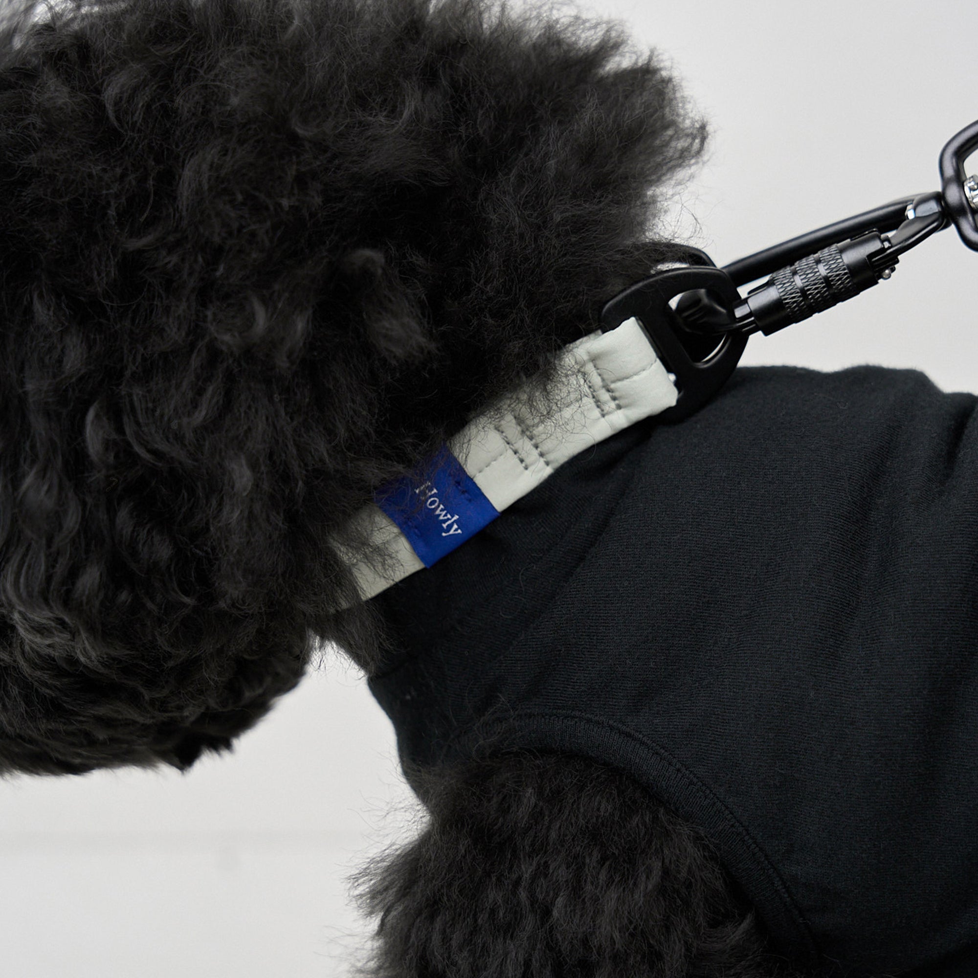 MALLOW-CORE™ COLLAR