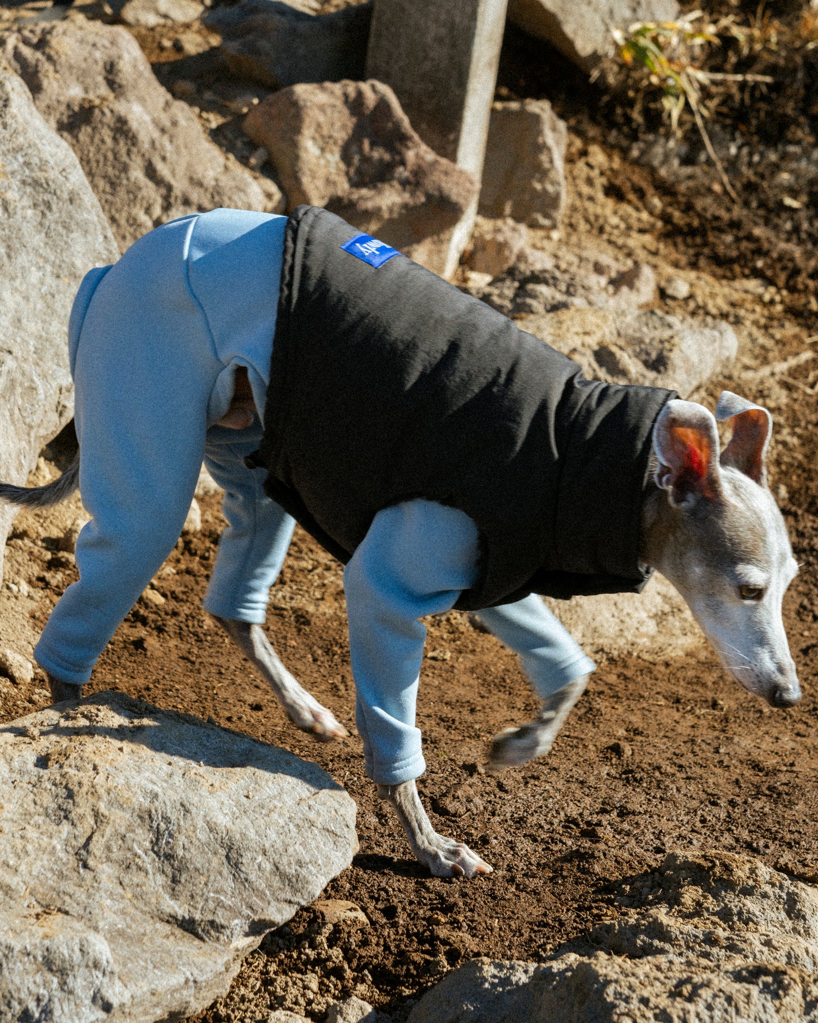 REVERSIBLE BOA VEST | Howly |リバーシブル2wayベスト シープボア素材
