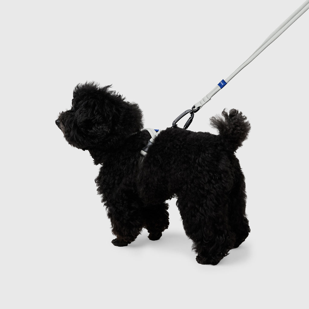 MALLOW-CORE™ HARNESS