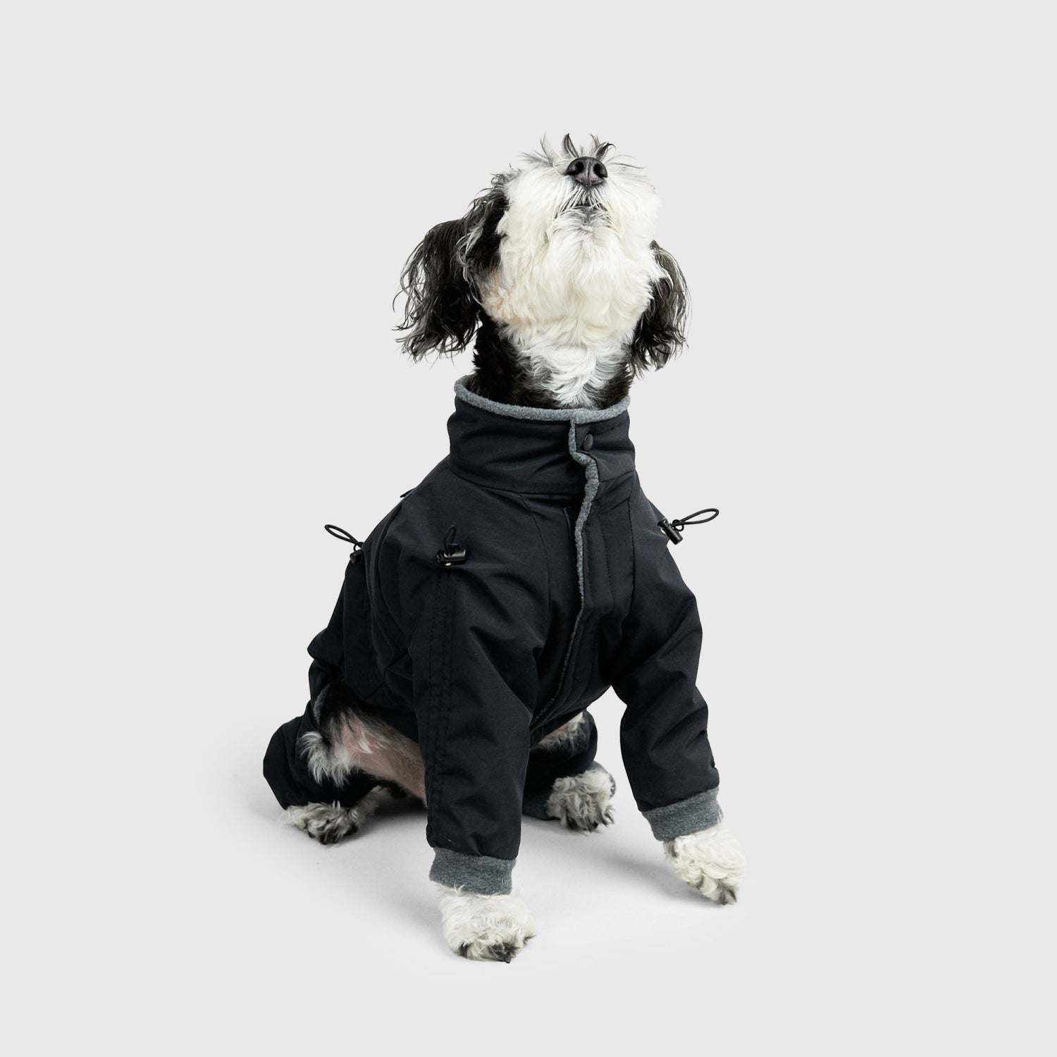 APOLLO SUITS | Howly | 調整機能と保温性を備えた、ミニマルなドッグ