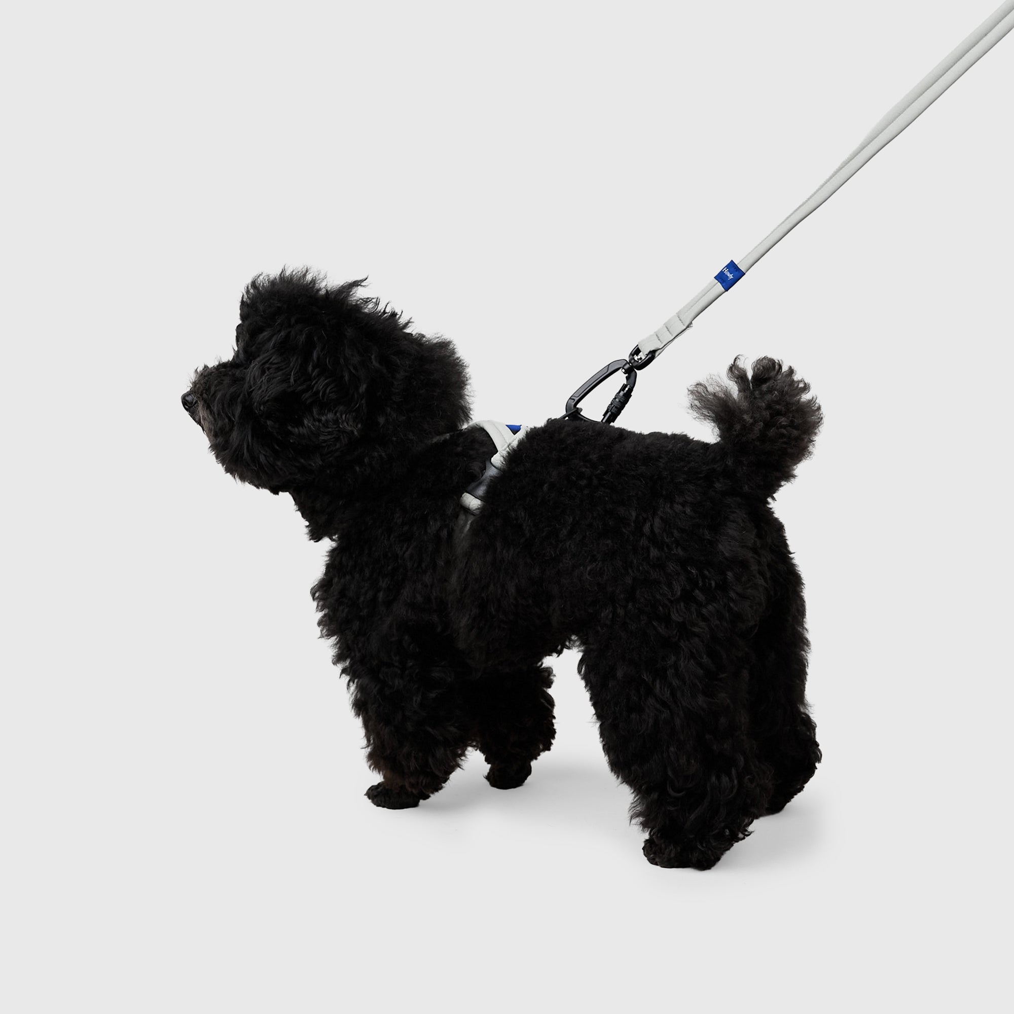 MALLOW-CORE™ LEASH