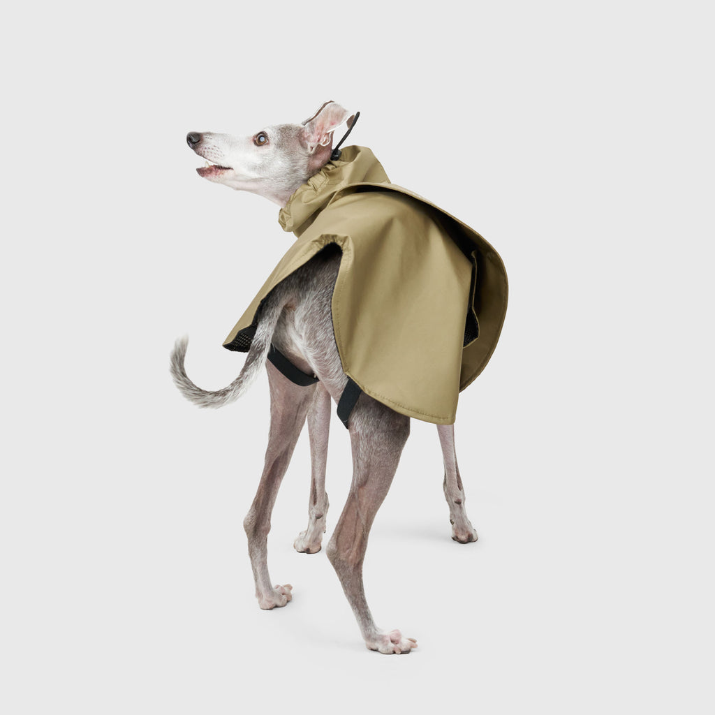 YOKE-SHELL RAINCOAT
