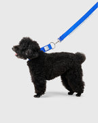 HOWLY UNIVERSAL LEASH