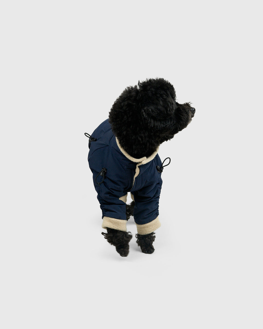 APOLLO SUITS