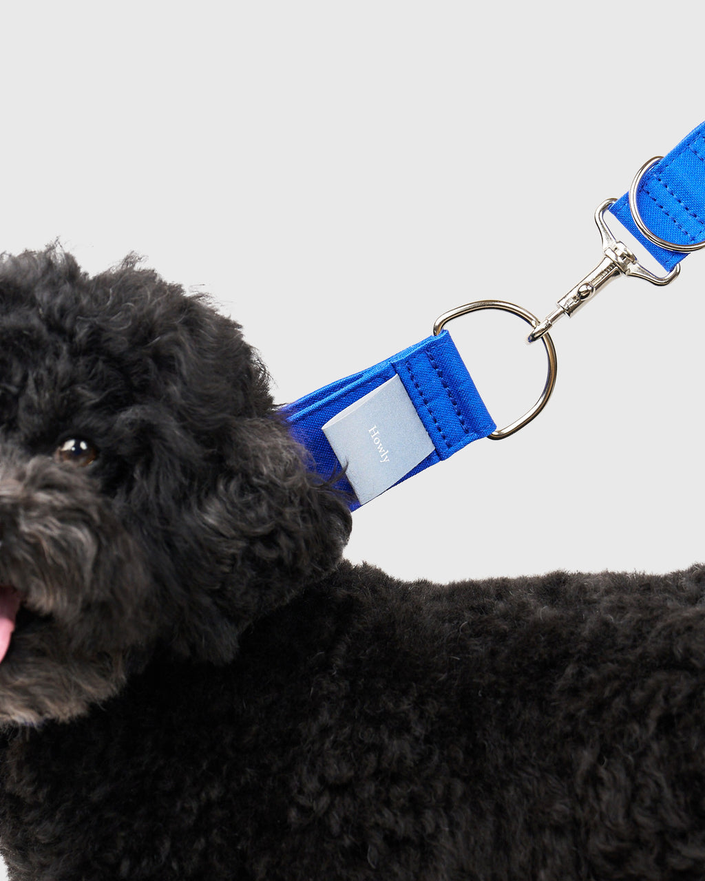 HOWLY UNIVERSAL COLLAR