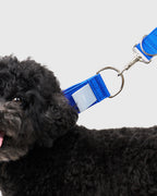 HOWLY UNIVERSAL COLLAR