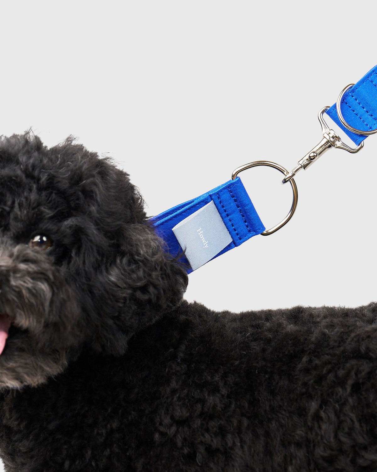 HOWLY UNIVERSAL COLLAR