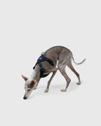 MALLOW-CORE™ HARNESS