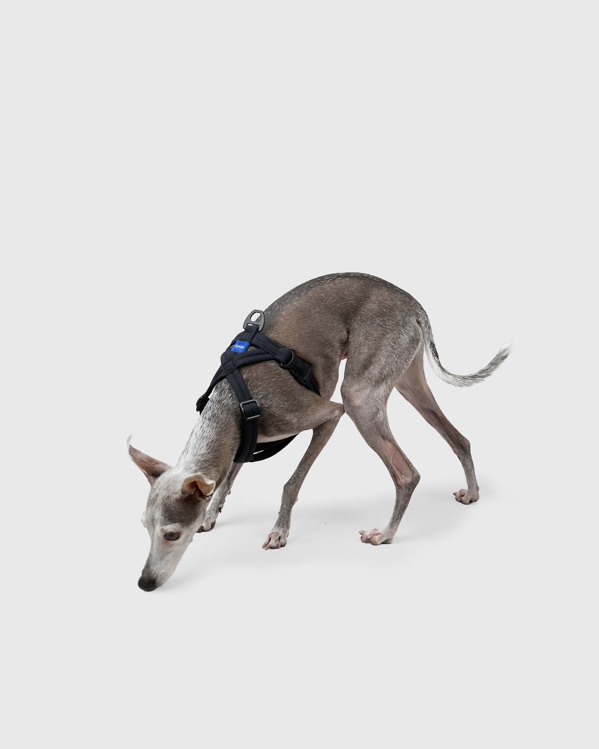 MALLOW-CORE™ HARNESS