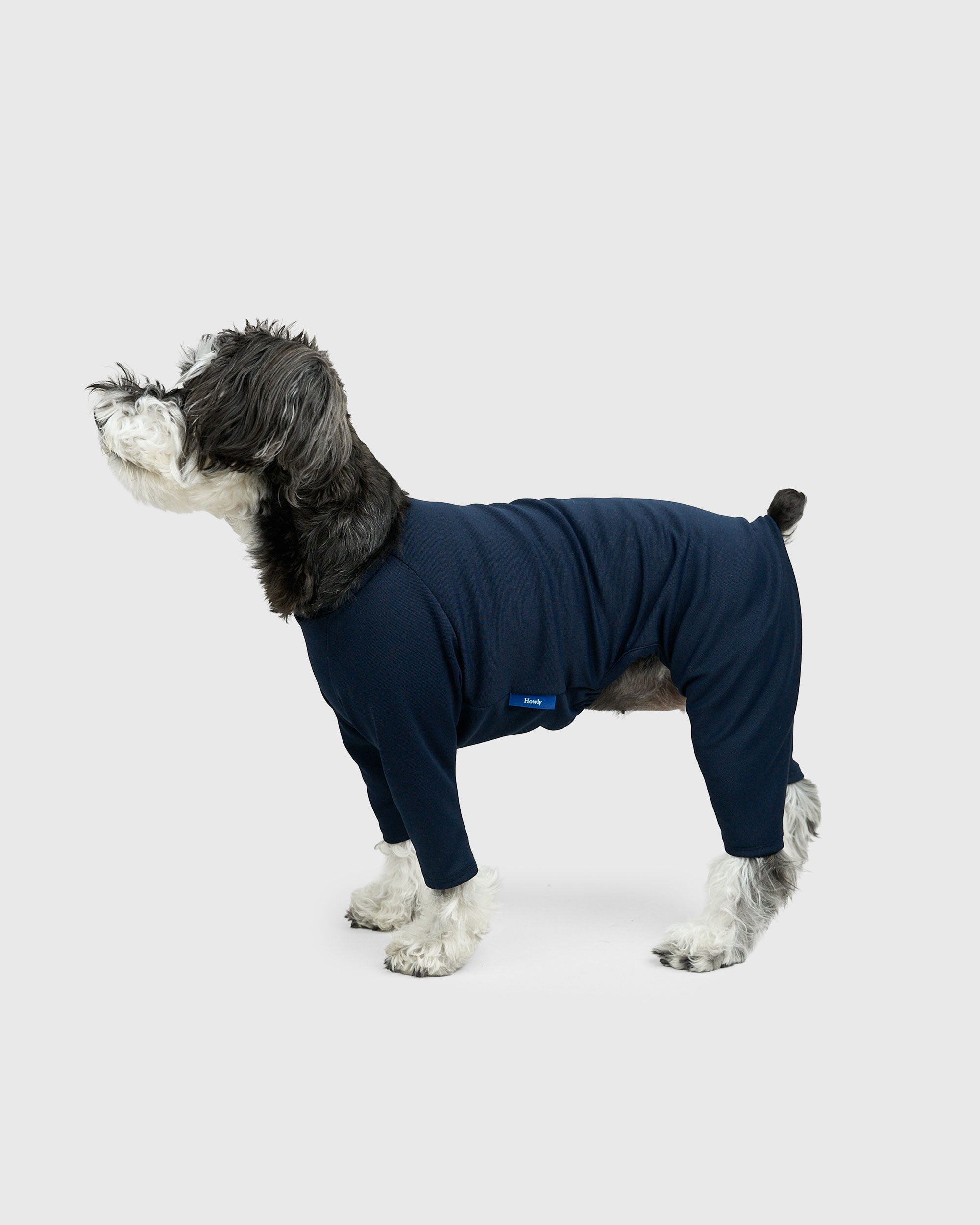 ALL | Howly商品一覧 | DOG WEAR&GOODS | Howly
