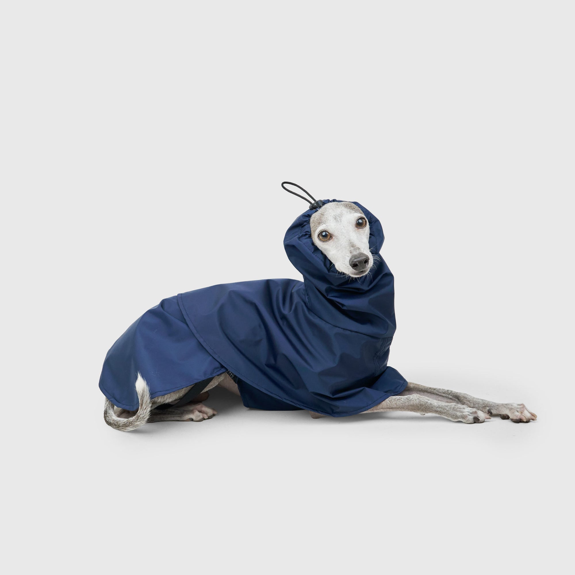 YOKE-SHELL RAINCOAT