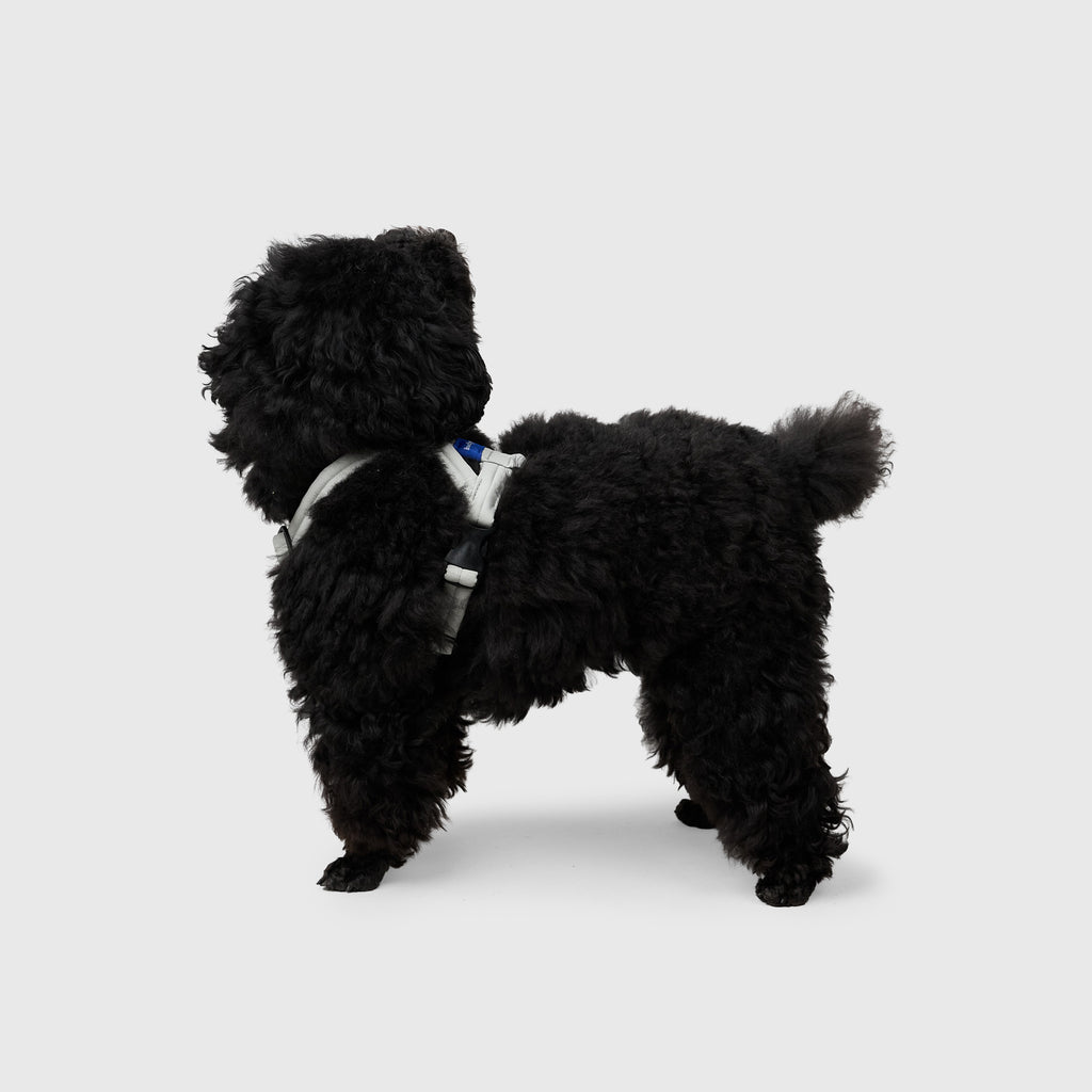 MALLOW-CORE™ HARNESS