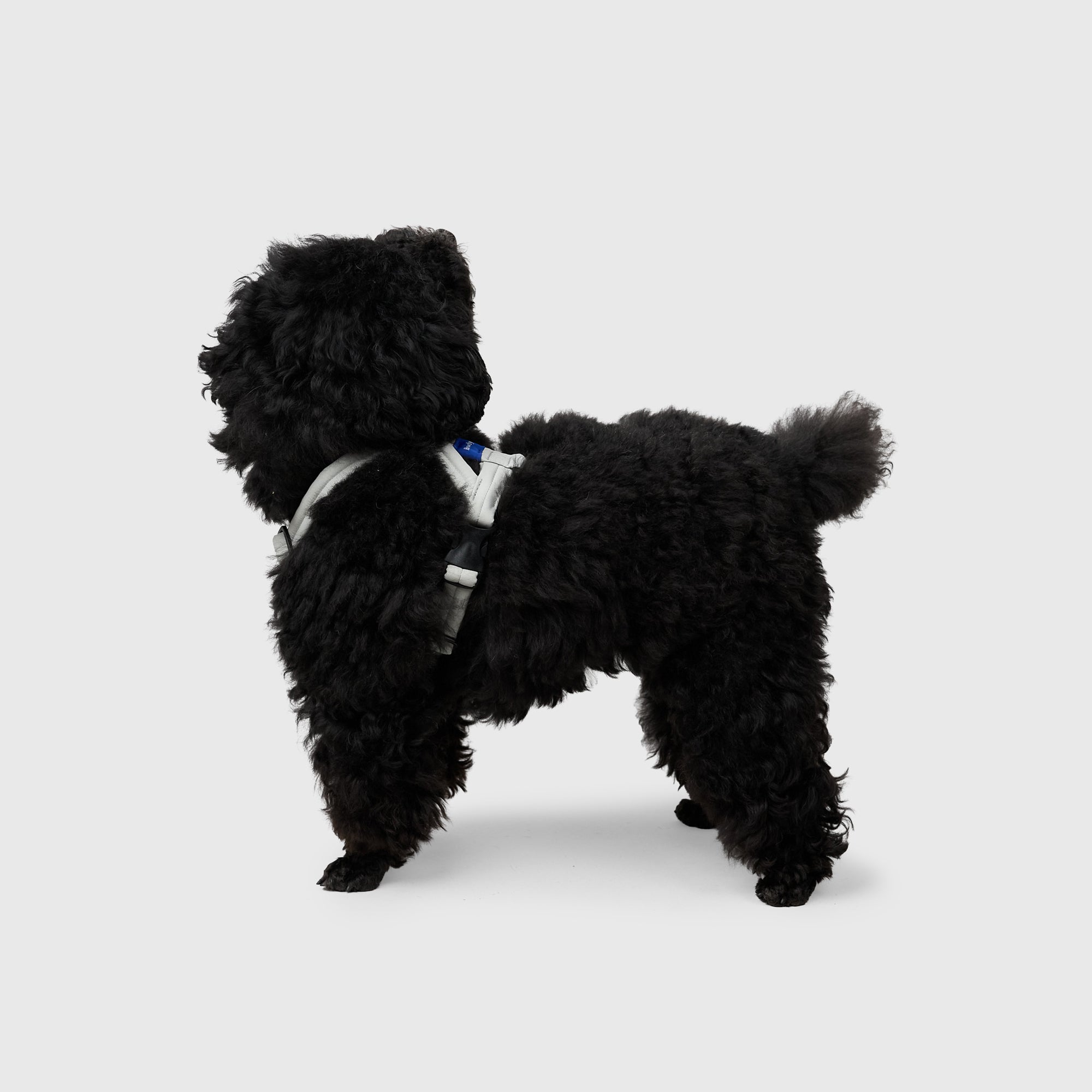 MALLOW-CORE™ HARNESS