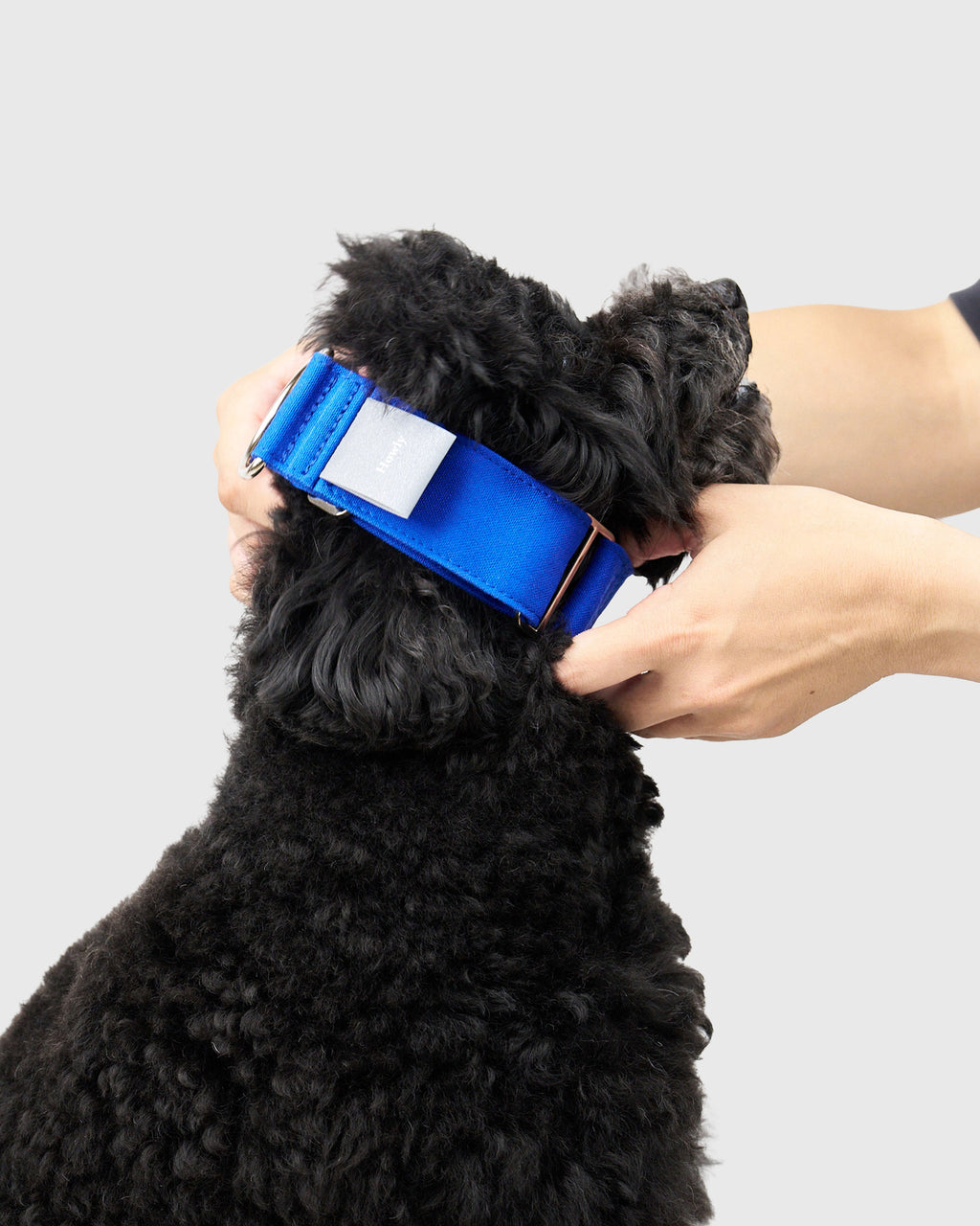 HOWLY UNIVERSAL COLLAR