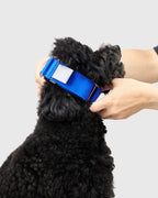 HOWLY UNIVERSAL COLLAR
