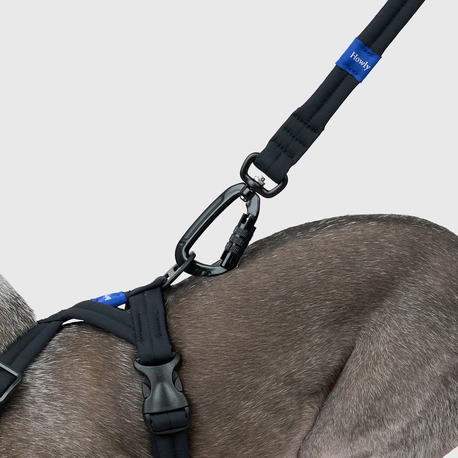 MALLOW-CORE™ LEASH