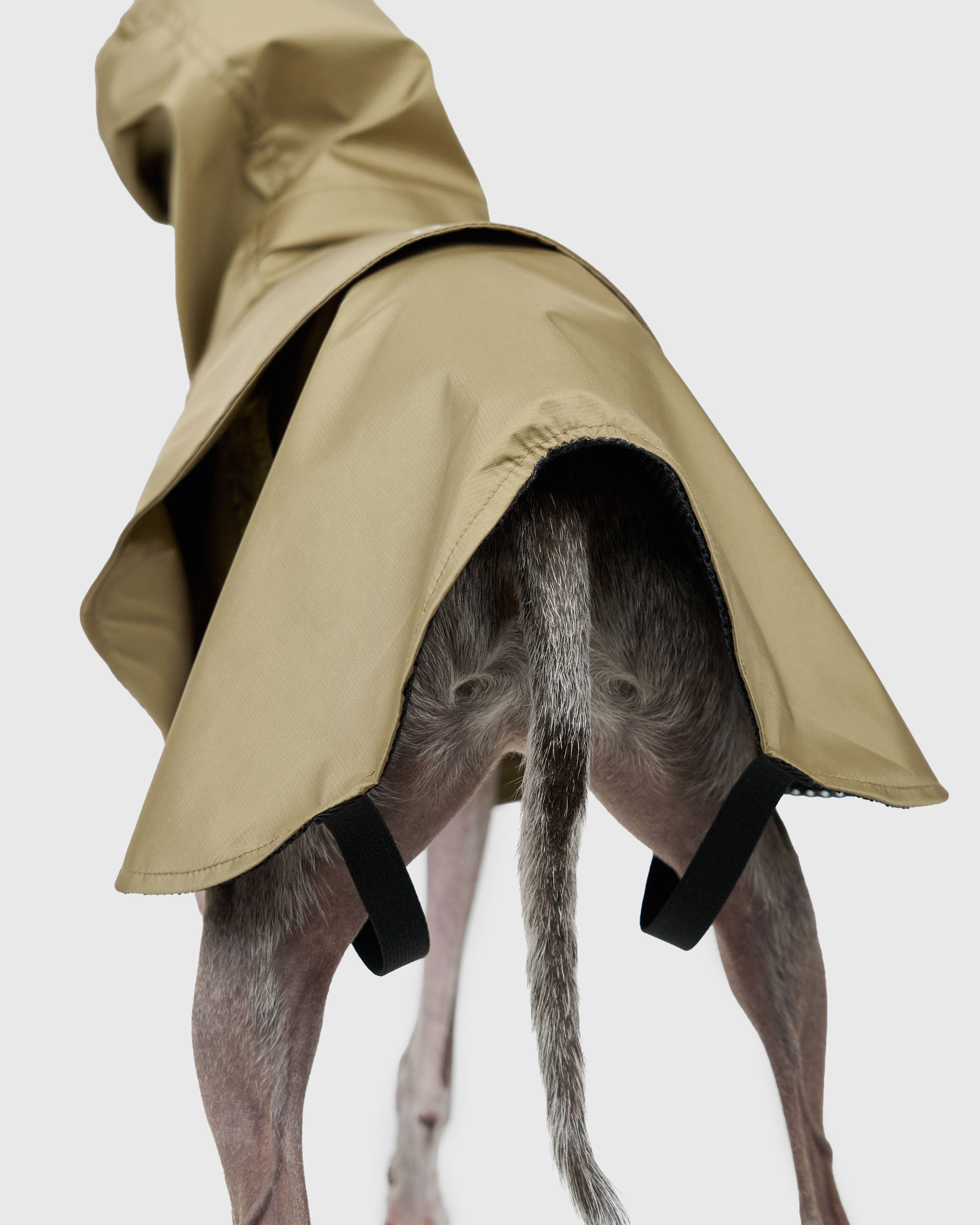 YOKE-SHELL RAINCOAT