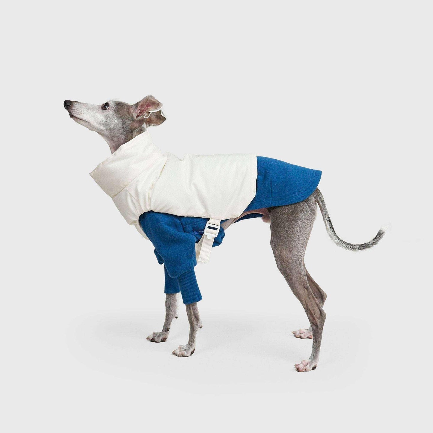 TACTICAL PUFF VEST 犬用ライトベスト