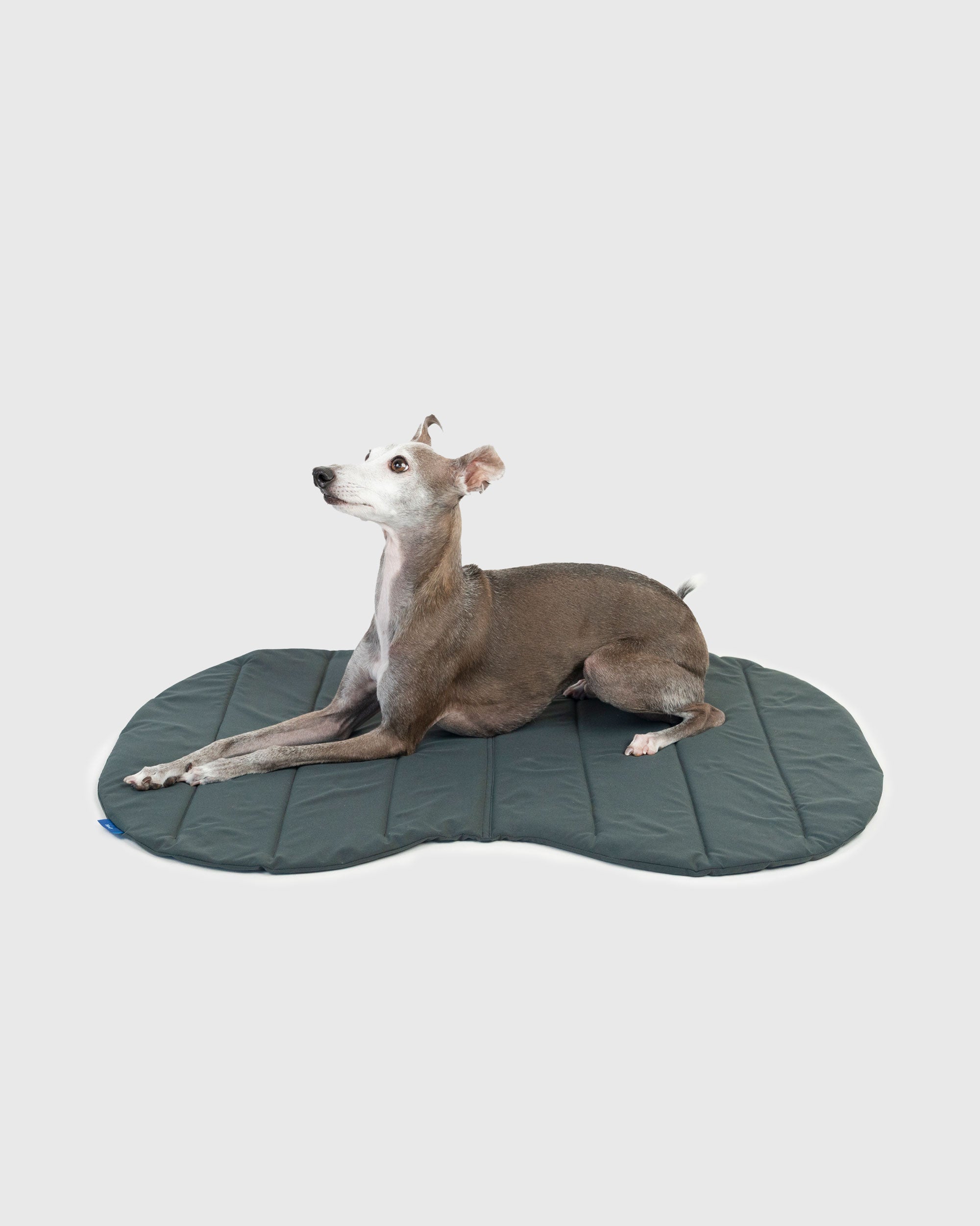 PACKABLE UTILITY DOG MAT｜撥水キルト×収納袋付きドッグカフェマット