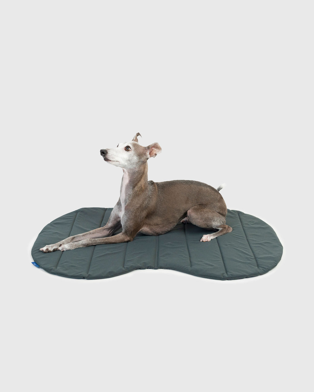 PACKABLE UTILITY DOG MAT