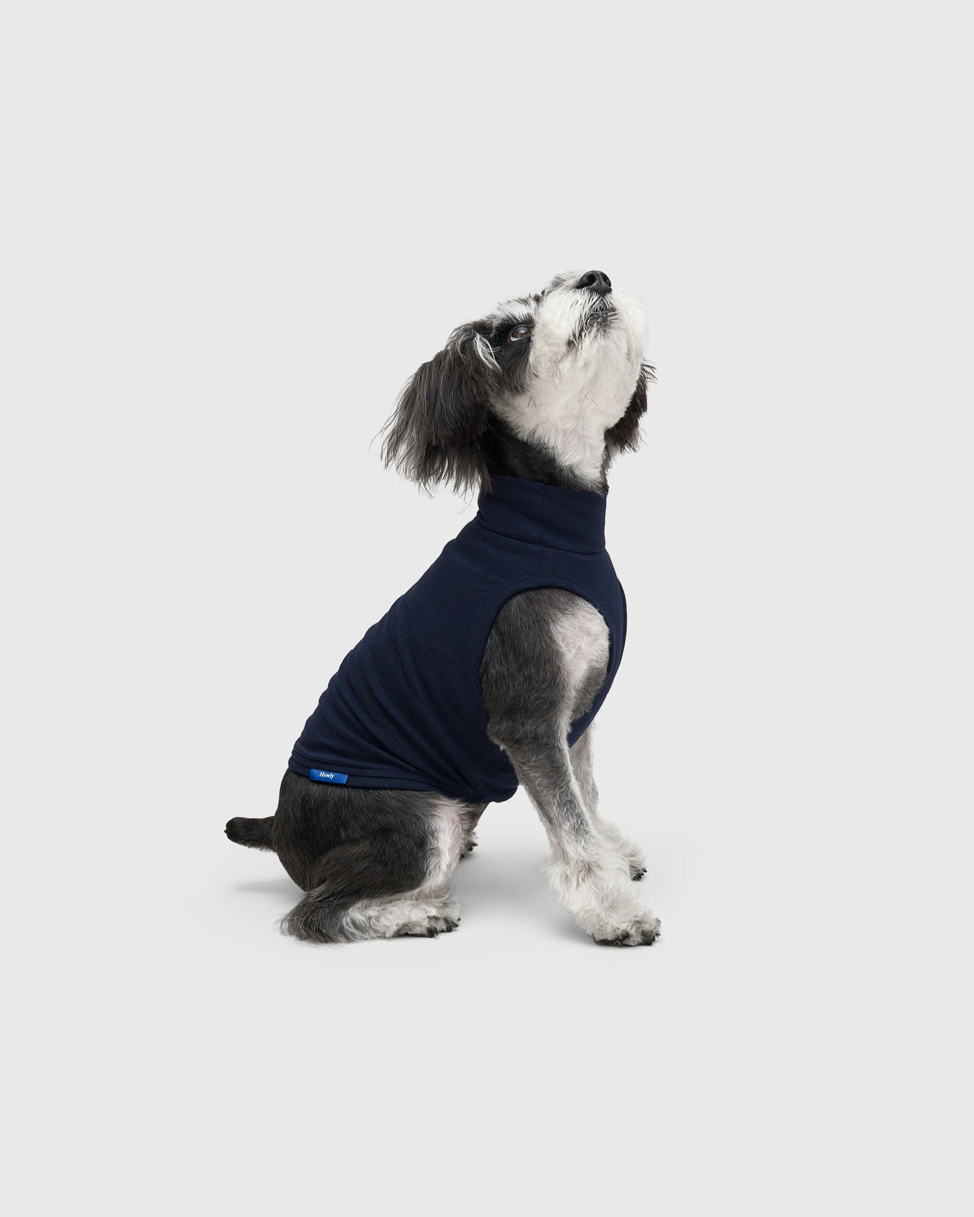 DOG PACK T-SHIRTS sleeveless (Border)