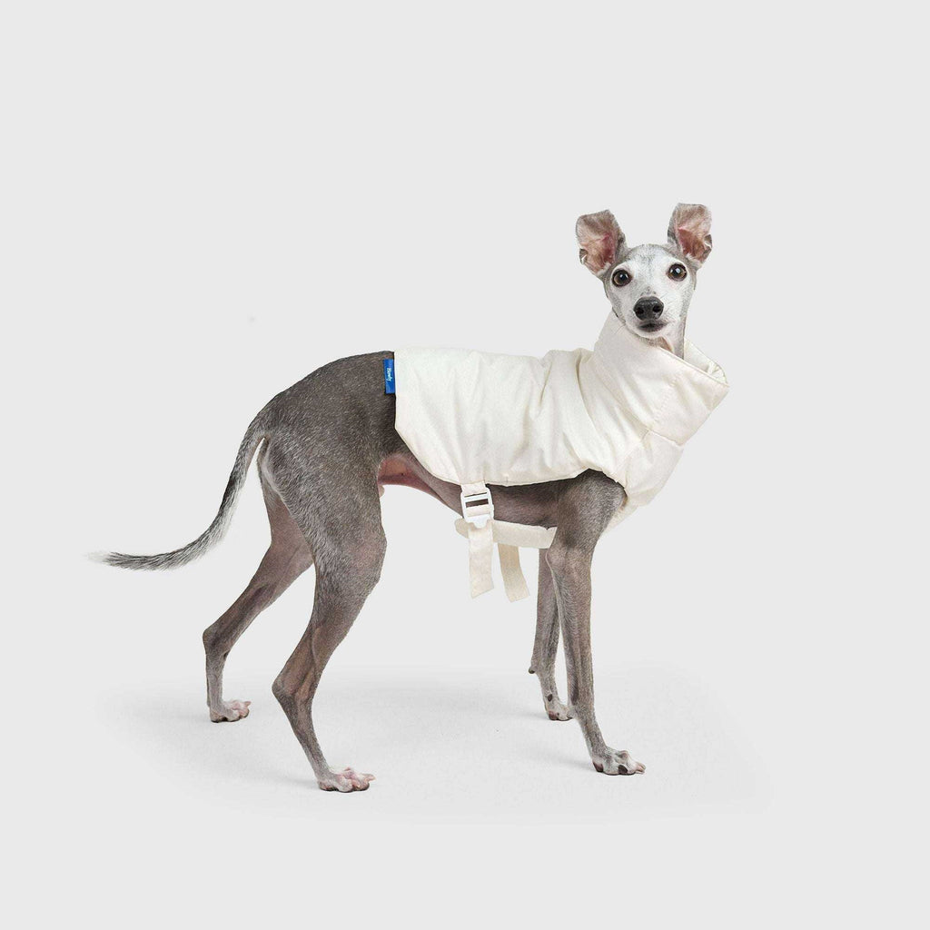 TACTICAL PUFF VEST 犬用ライトベスト