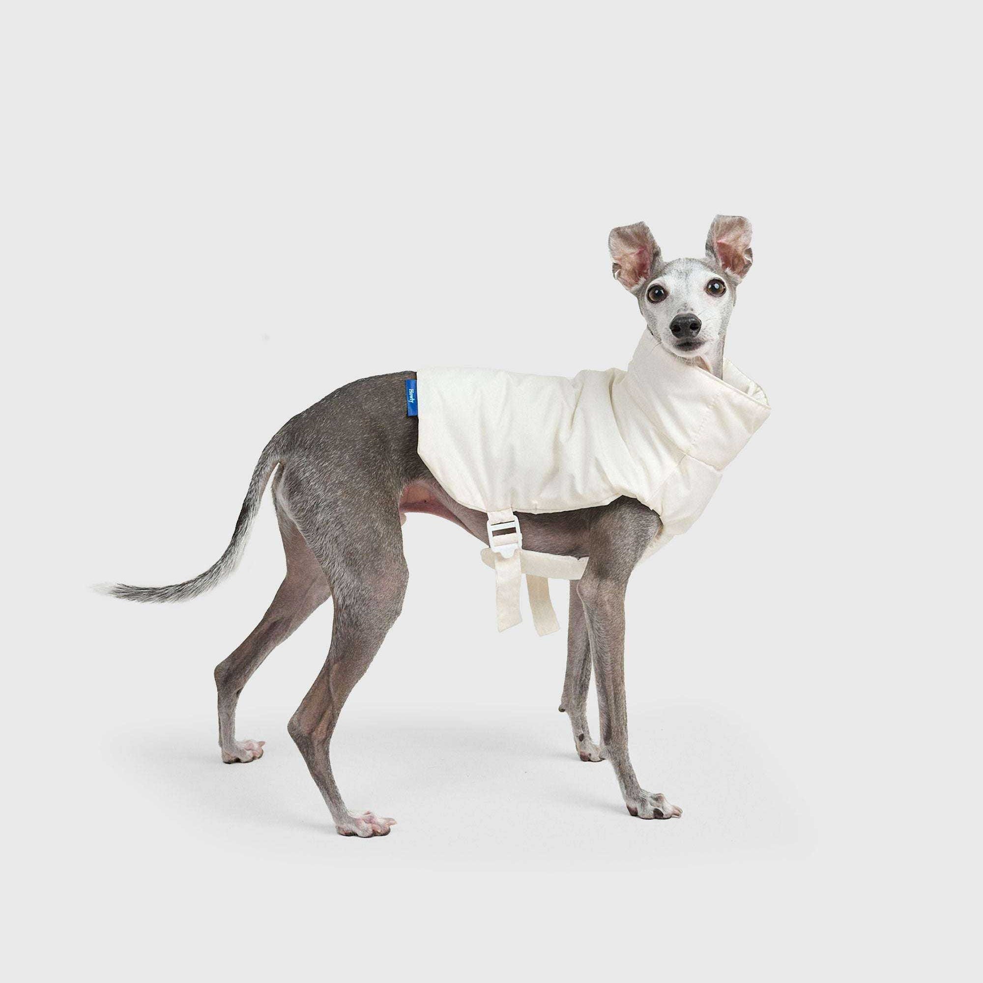 TACTICAL PUFF VEST 犬用ライトベスト