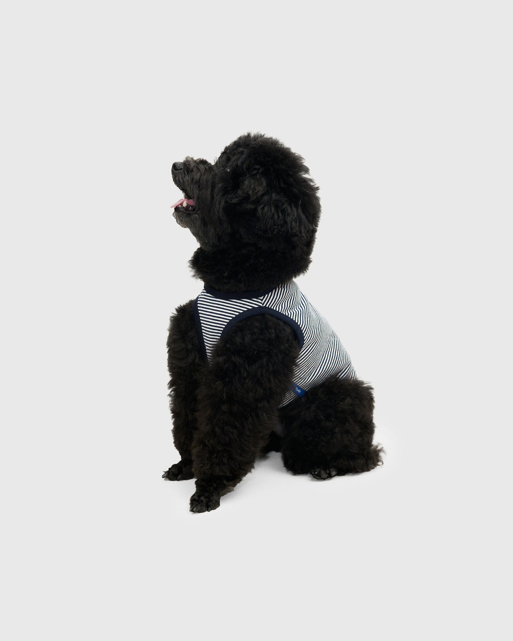 DOG PACK T-SHIRTS sleeveless (Border)