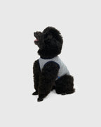 DOG PACK T-SHIRTS sleeveless (Border)