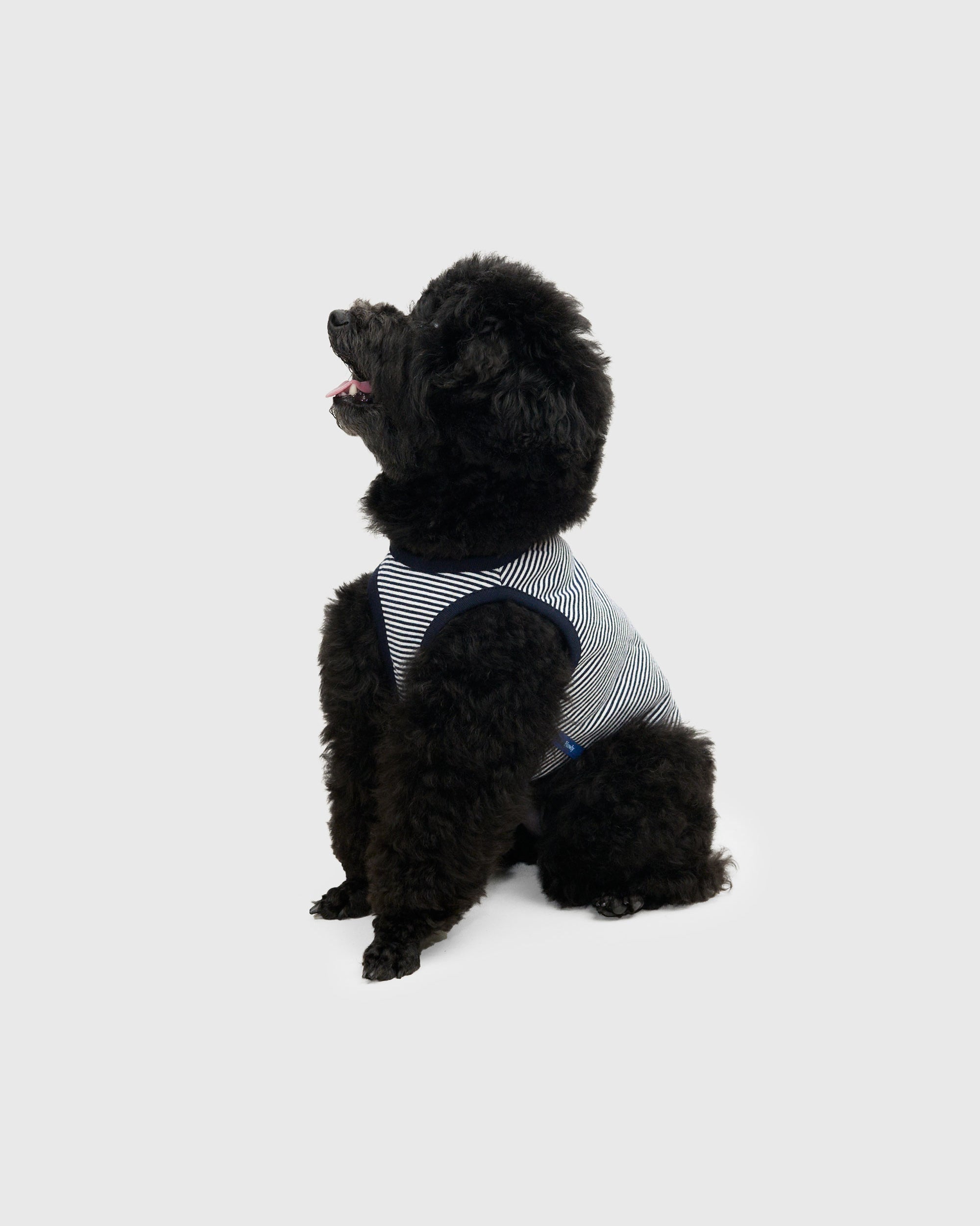 DOG PACK T-SHIRTS sleeveless (Border)