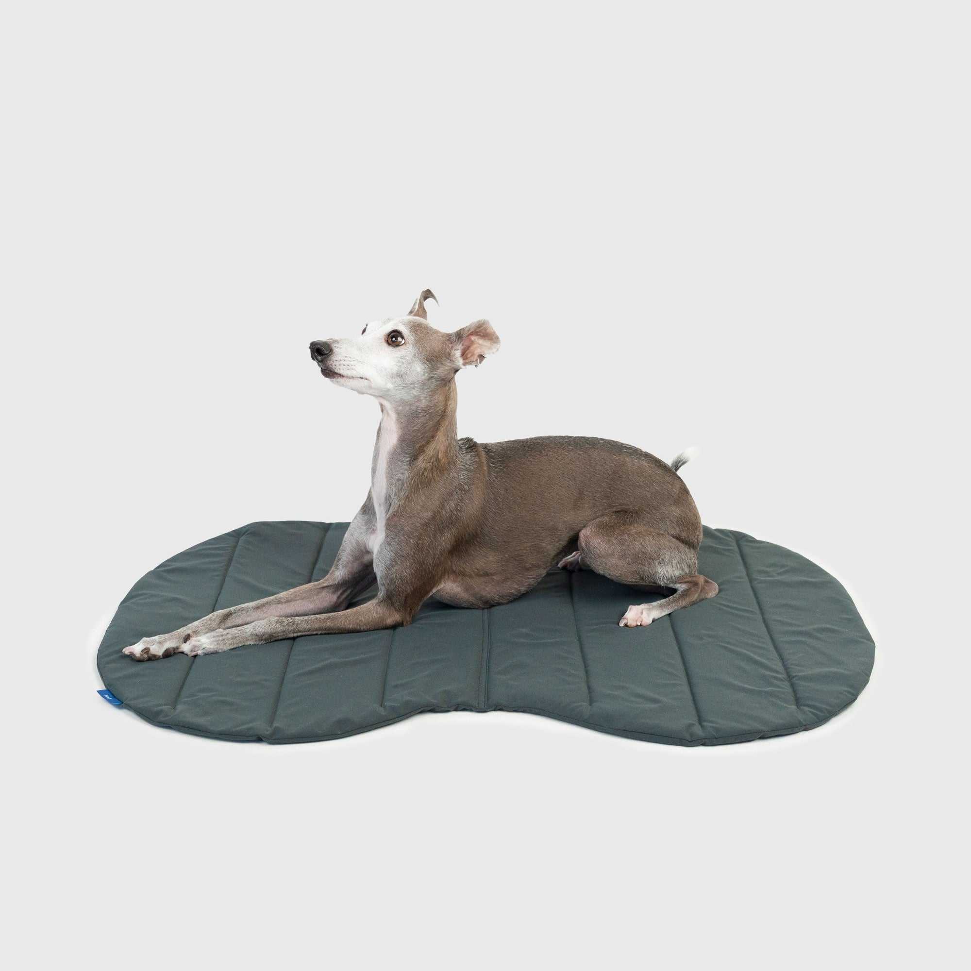 PACKABLE UTILITY DOG MAT