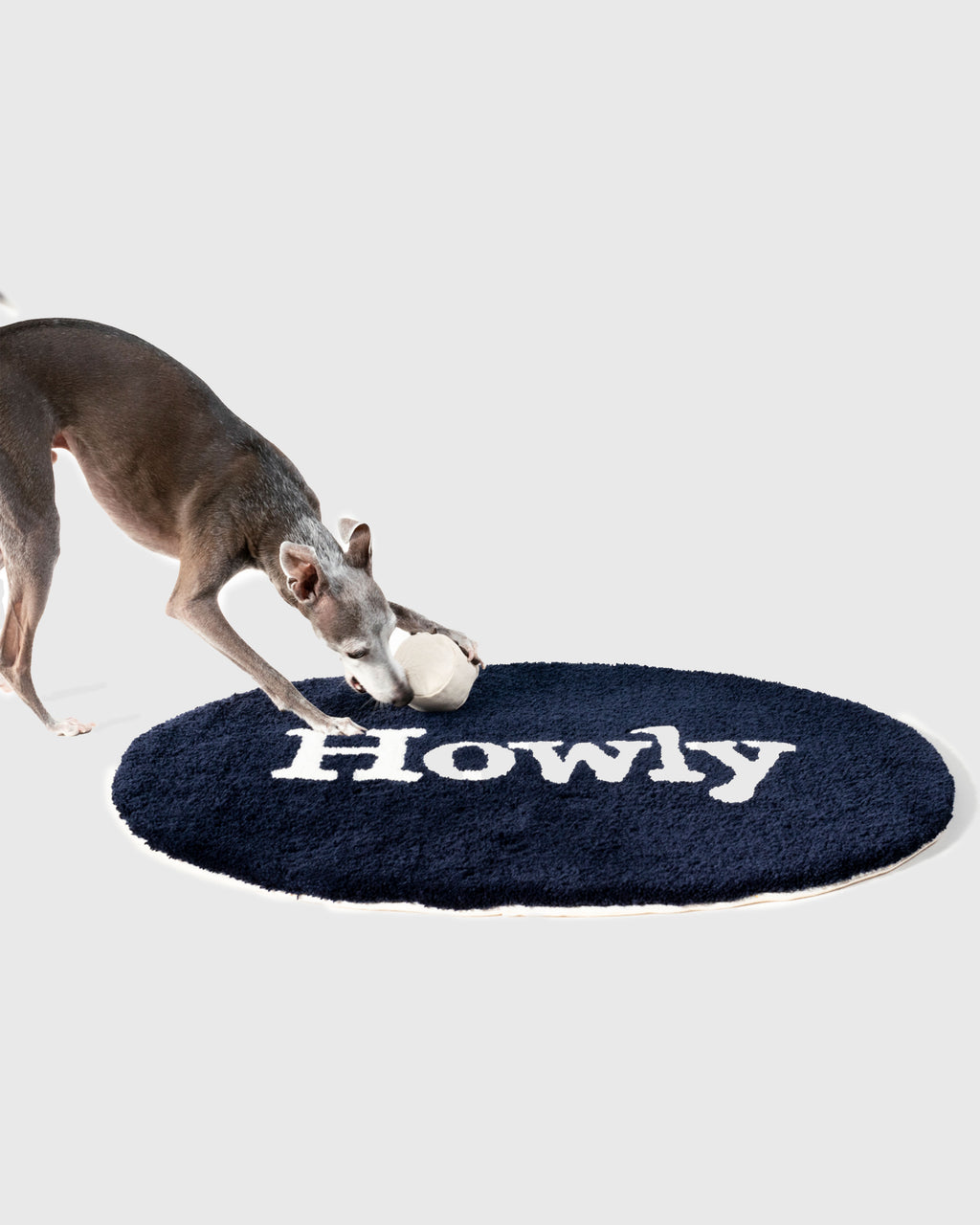 HOWLY DOG RUG (1st Anniversary Limited Edition)