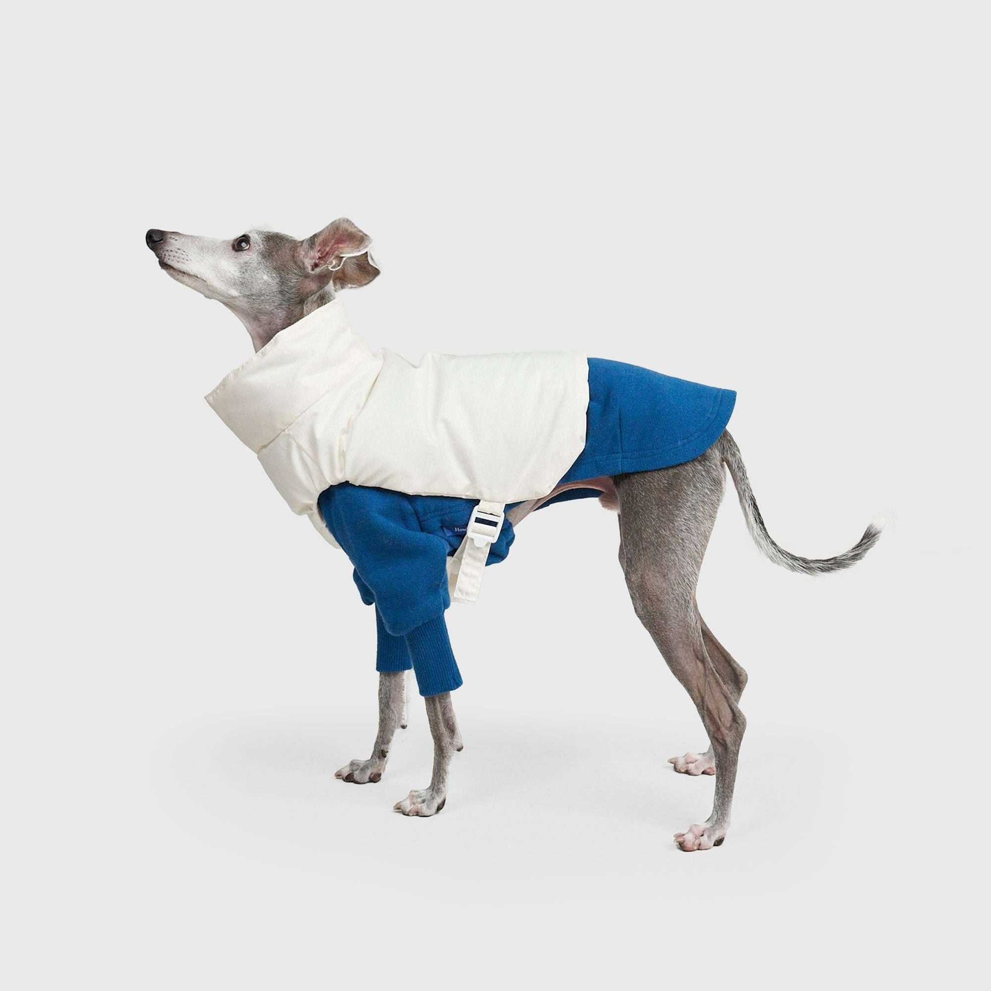 MOCKNECK SWEAT SHIRTS