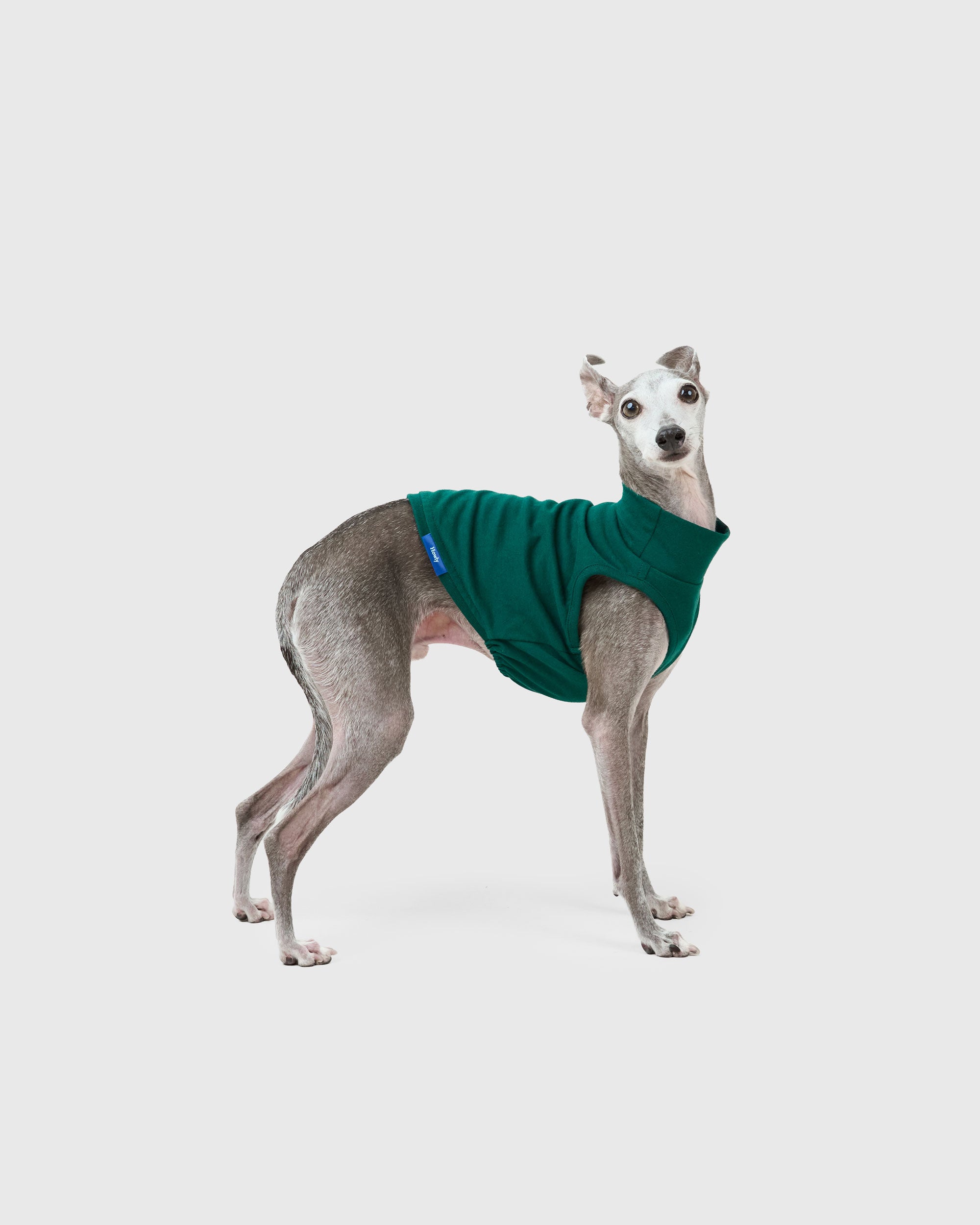 DOG PACK T-SHIRTS sleeveless (Green)