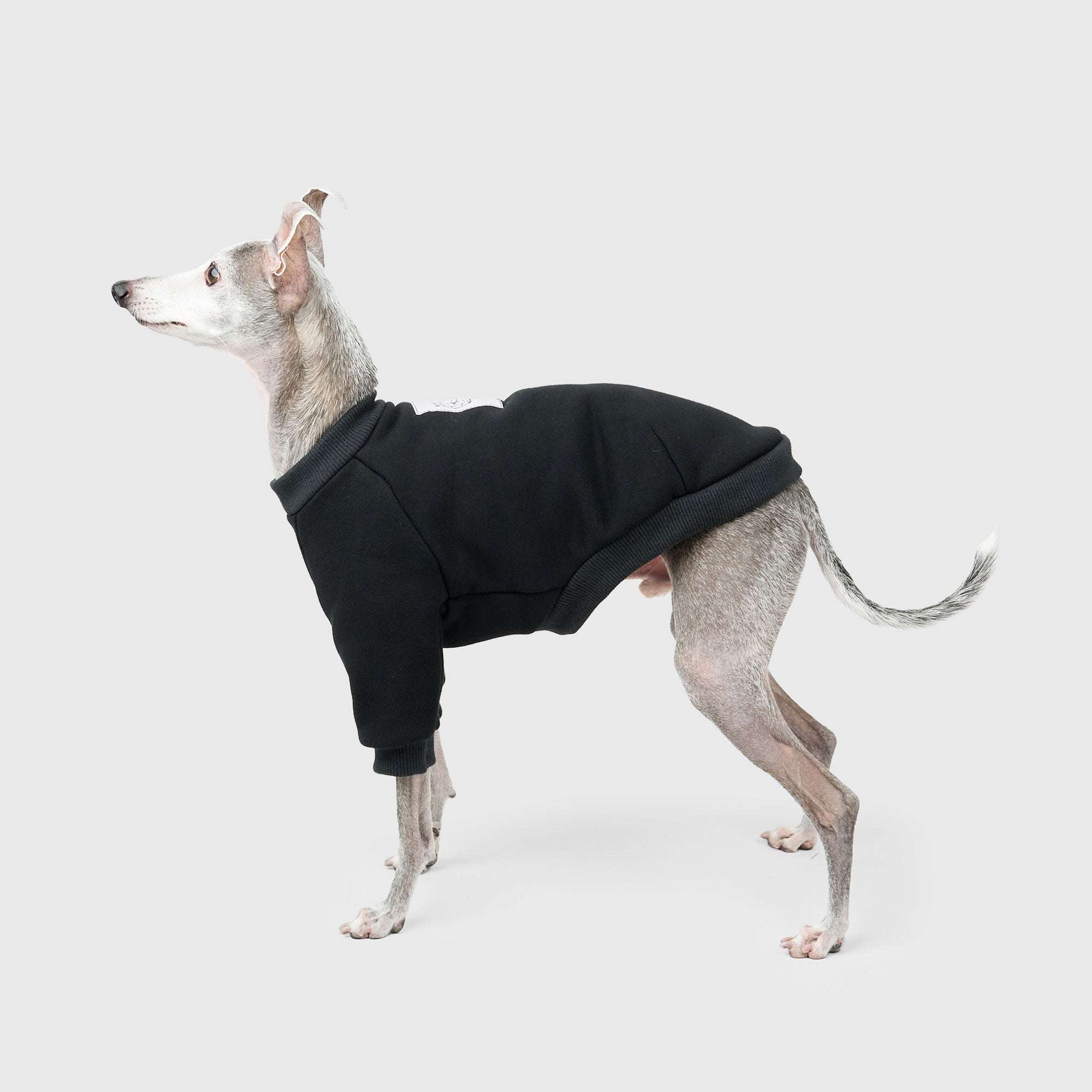 HOWLY "Sleepy dog" SWEAT SHIRT for DOG