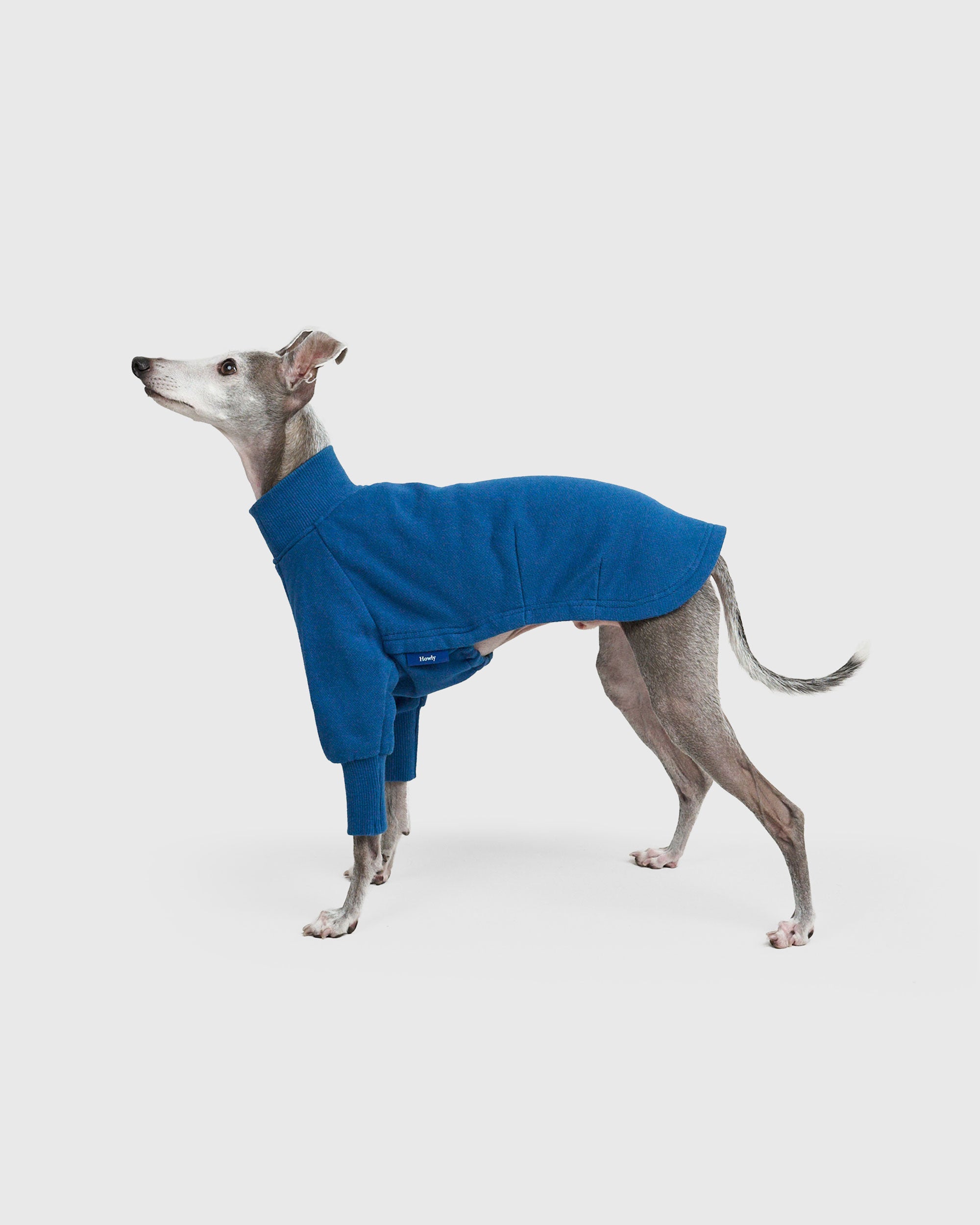 MOCKNECK SWEAT SHIRTS
