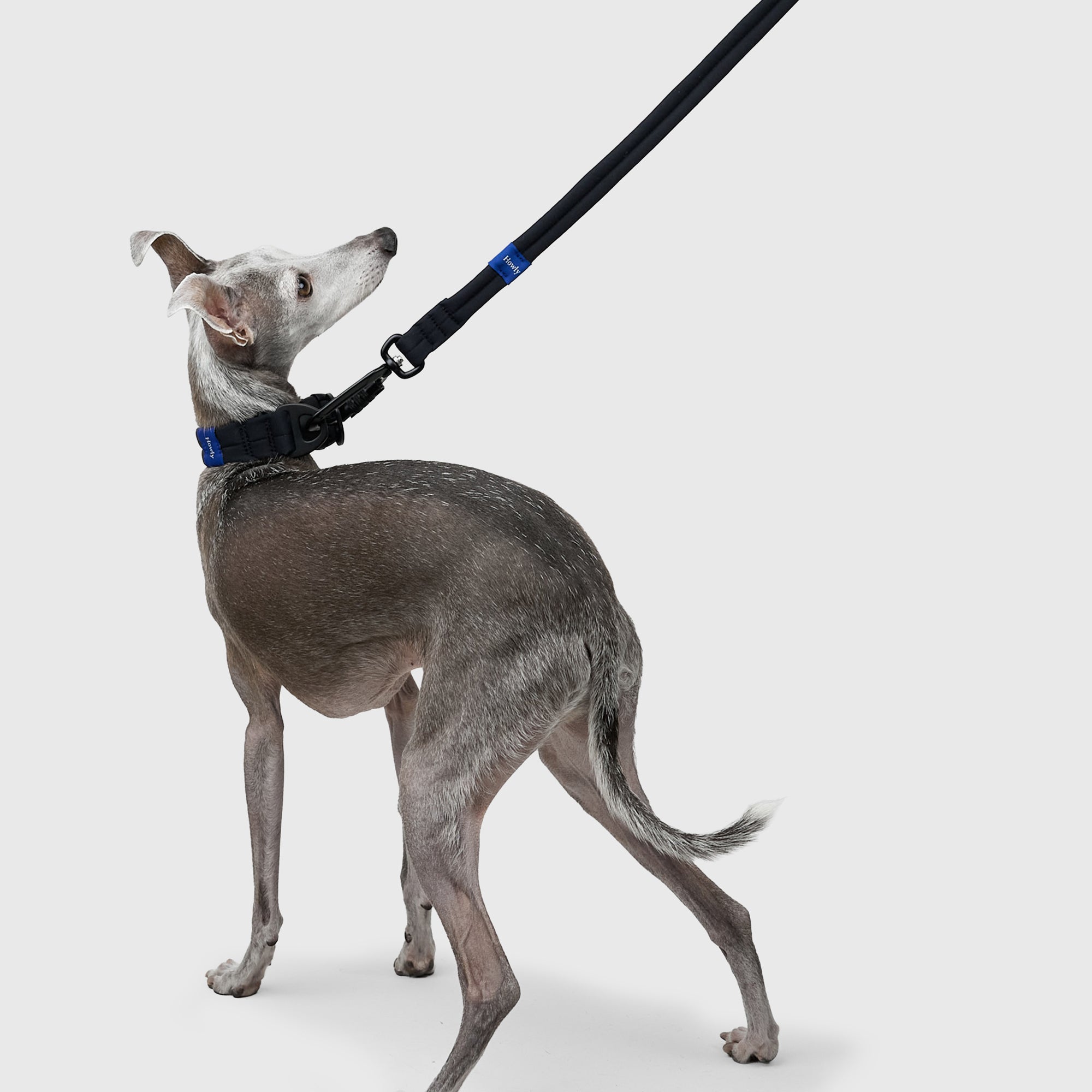 MALLOW-CORE™ COLLAR