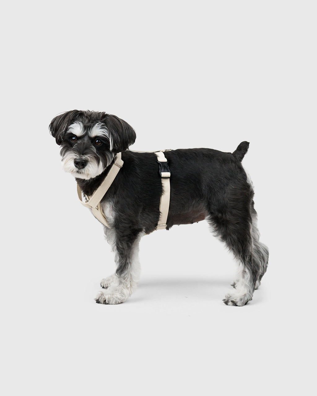 HOWLY UNIVERSAL HARNESS