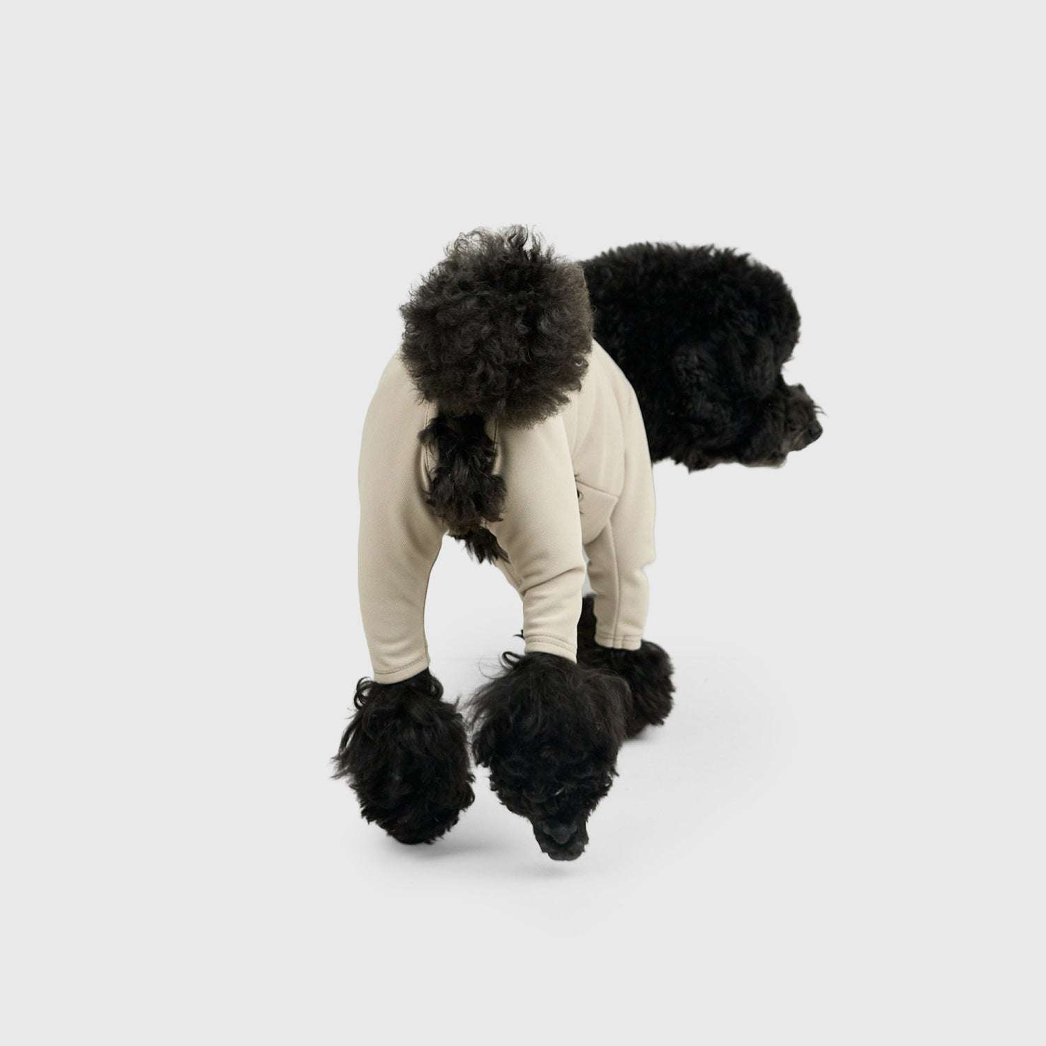 ALL | Howly商品一覧 | DOG WEAR&GOODS | Howly