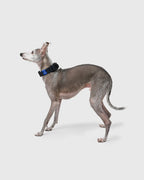 MALLOW-CORE™ COLLAR