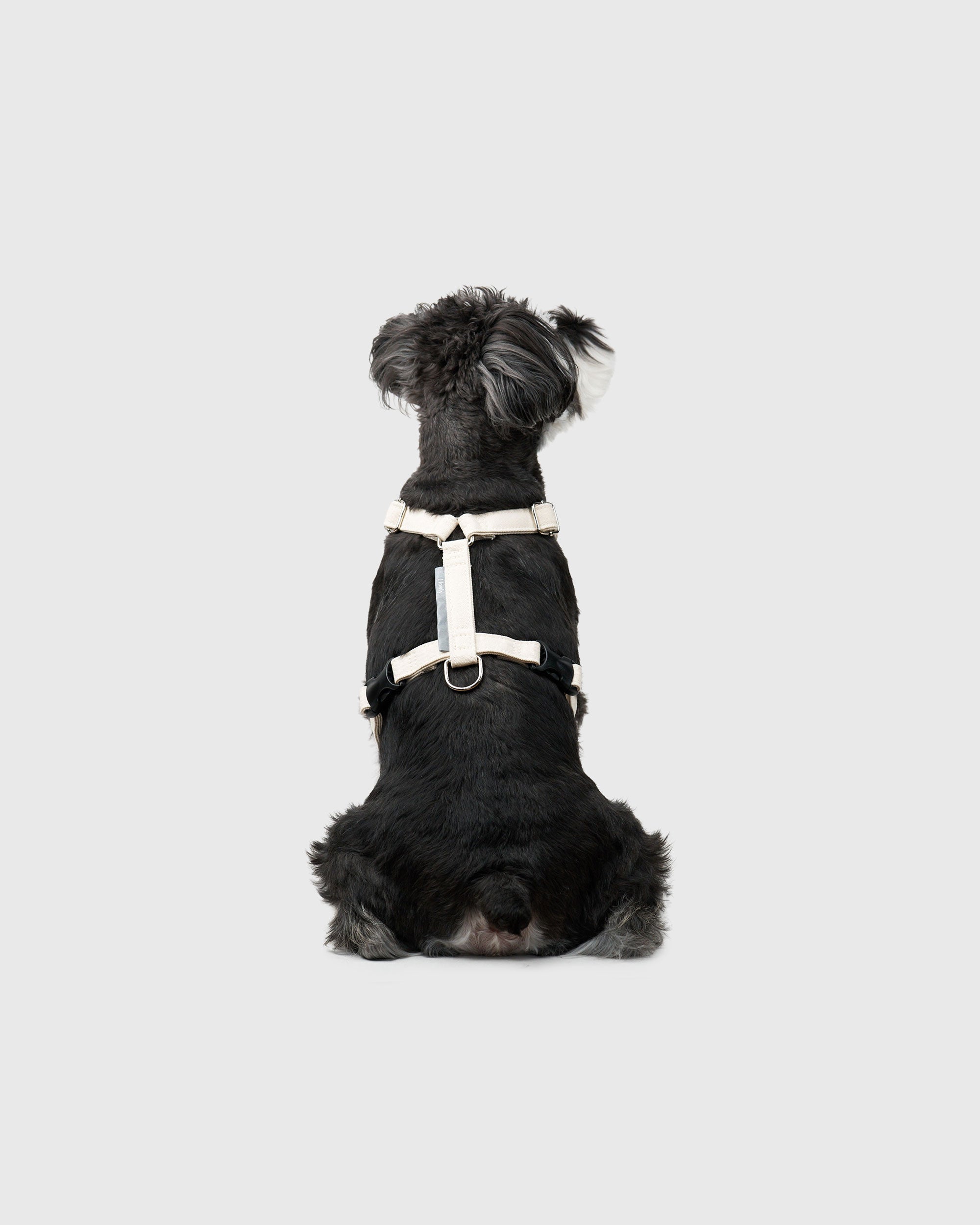 HOWLY UNIVERSAL HARNESS