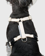HOWLY UNIVERSAL HARNESS
