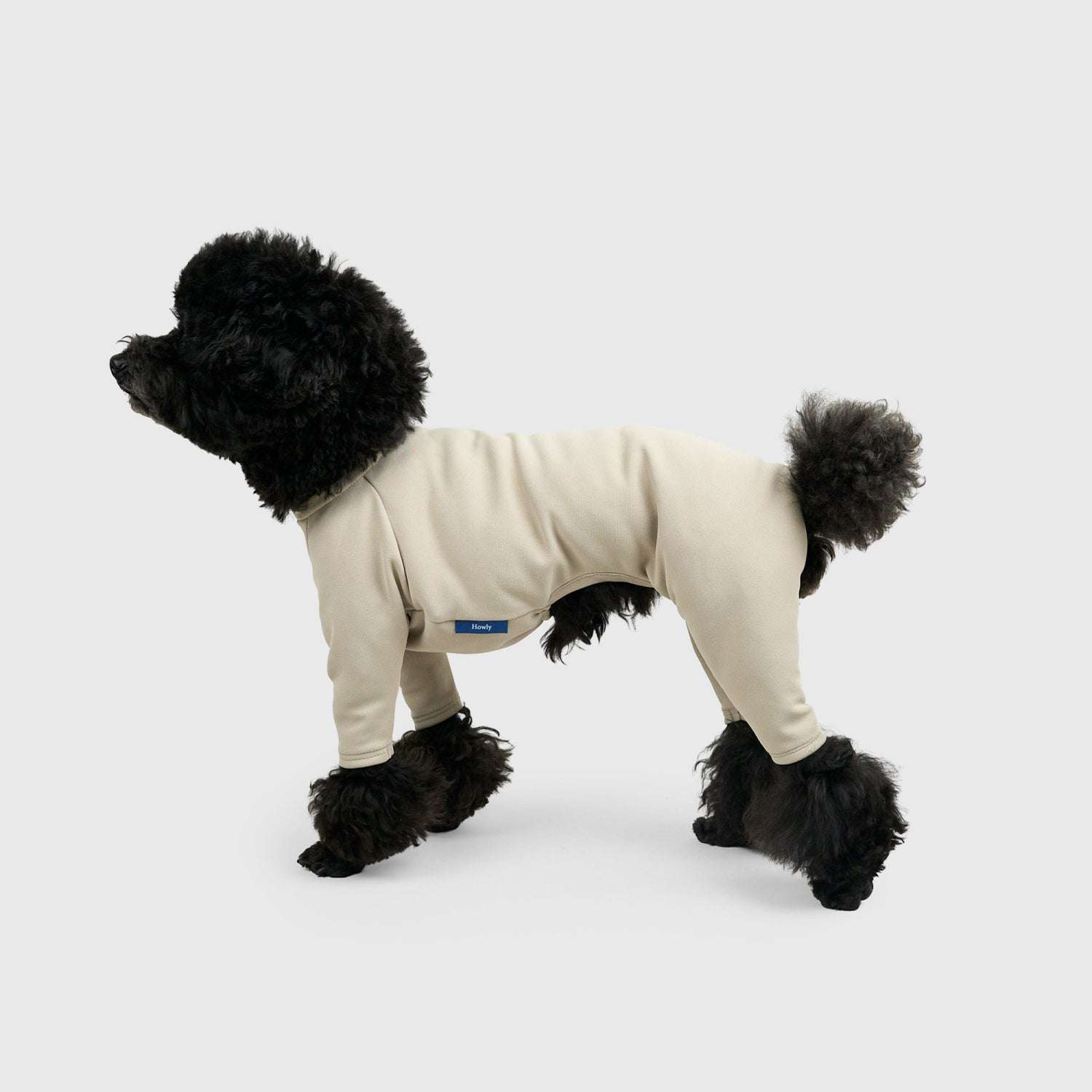 ALL | Howly商品一覧 | DOG WEAR&GOODS | Howly