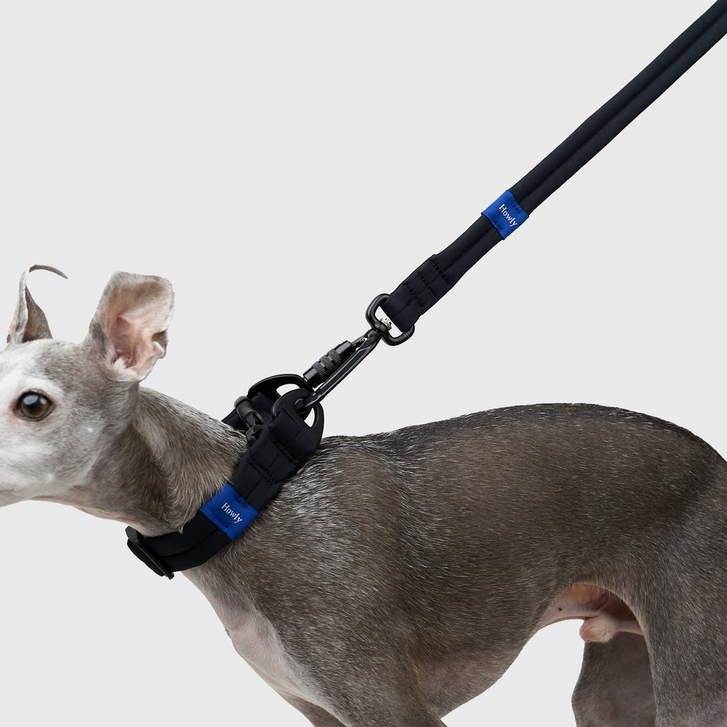 MALLOW-CORE™ LEASH