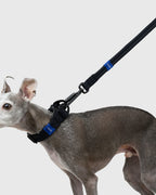 MALLOW-CORE™ COLLAR