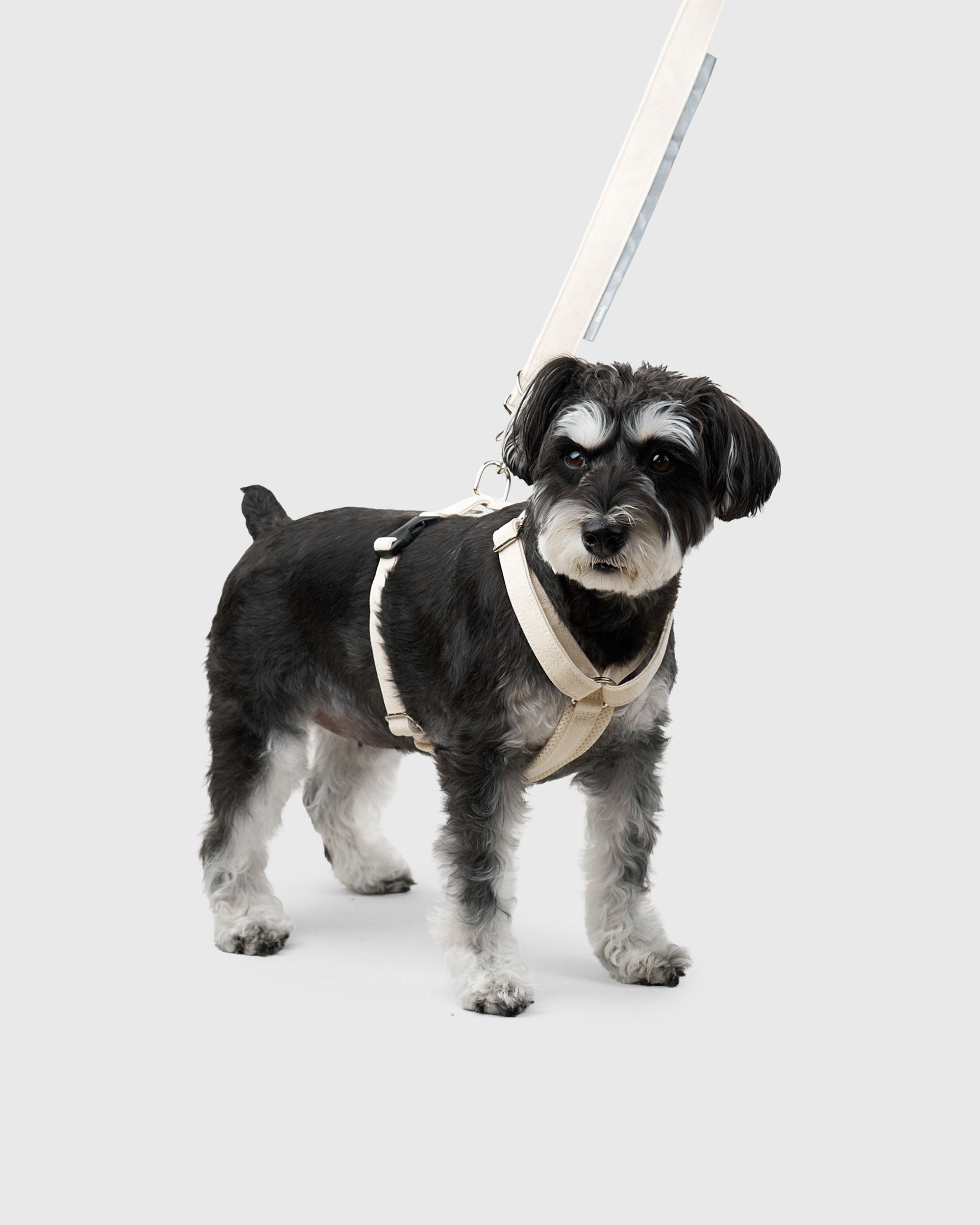 HOWLY UNIVERSAL LEASH