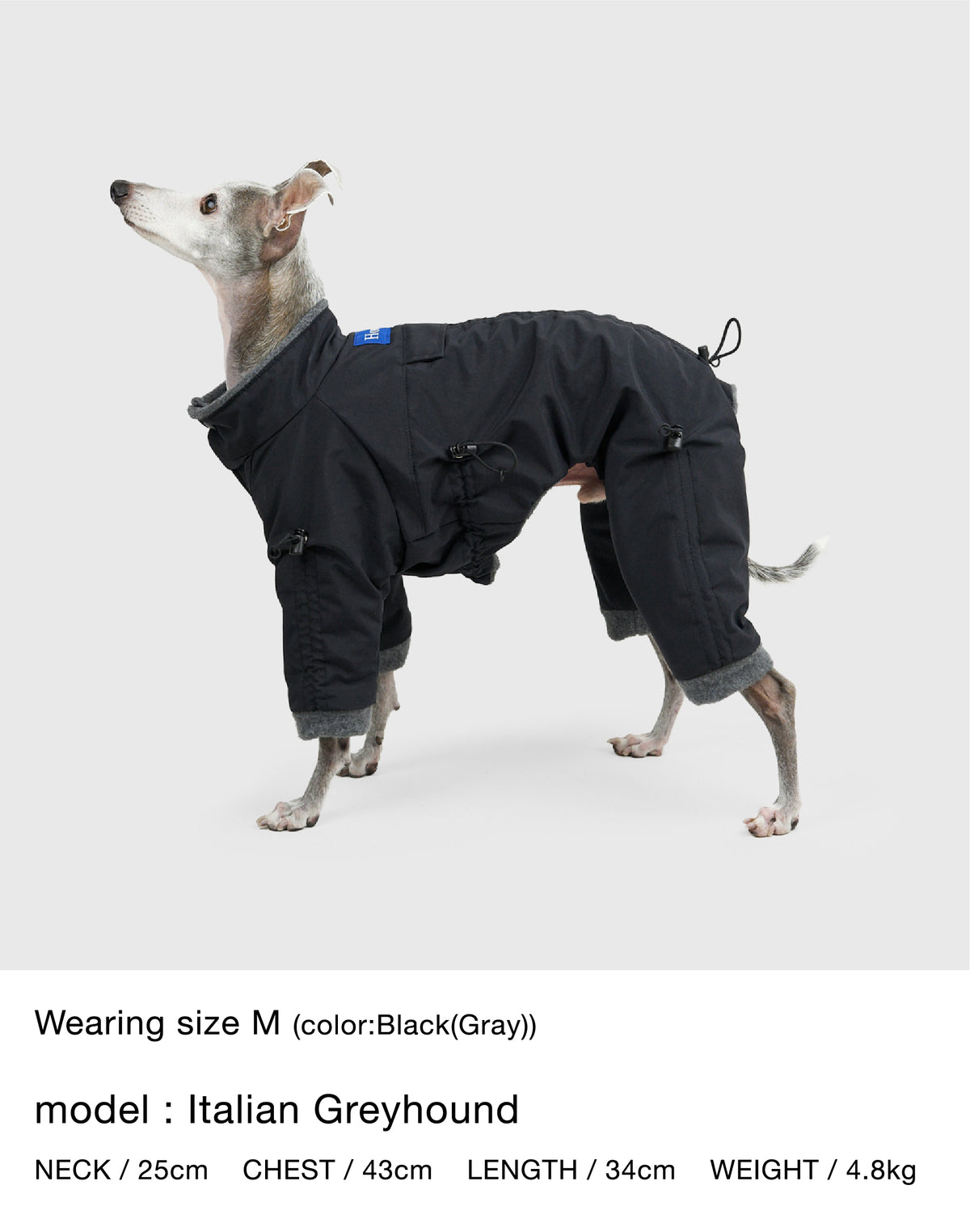 APOLLO SUITS 詳細画像 2